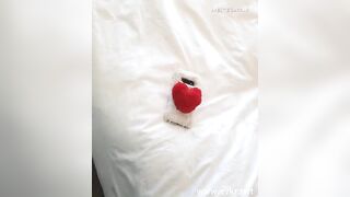 아시아나 승무원 (2) 4