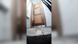PissWC Pooping 6-1 ipcam 2