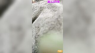 【按摩圣手】骚宝回春老中医❤️按摩潜规则流程全套完整版196V ipcam 3 (4)