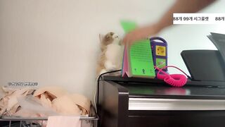 유다인 260110 Full 3